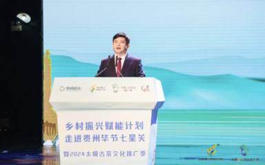 拍卖业务的全流程解析 机遇与挑战